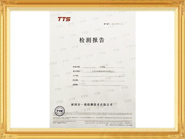 TTS检测报告
